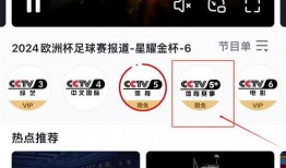 cctv4在线直播观看5,见证世界，畅享多元文化盛宴