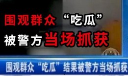 吃瓜现实小说免费阅读,现实小说中的免费阅读盛宴