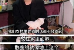 刘大锤爆料直播澄清视频,揭秘爆料真相