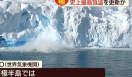 南极最新爆料新闻视频网,神秘生物现踪，极地探险新发现！