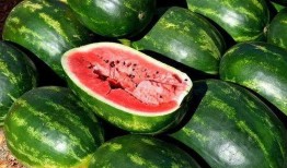 缅甸网红吃瓜视频大全,趣味横生，笑料百出