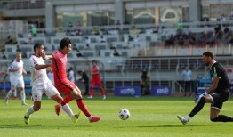 王蒙爆料韩国队视频播放,韩国队视频播放背后的真相曝光