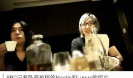 加拿大记者爆料视频播放,加拿大记者爆料视频引发热议