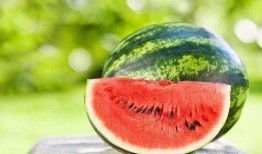 四川网红吃瓜事件真相,真相背后的网络狂欢与反思