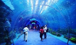 海洋最新爆料视频下载安装,最新海洋爆料视频深度解析