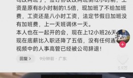 蓝厂高管爆料视频曝光,揭秘企业内部真相与变革