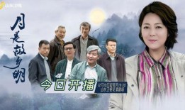 山东卫视直播在线观看的电视剧看,情感纠葛与时代变迁的交织