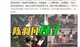 孟祥宇爆料董翔宇视频,真相大白