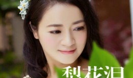 梨花泪全集在线观看