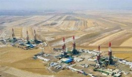 大庆油田爆料事件始末视频,真相与争议的交织