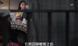 石油小姐姐爆料视频大全,揭秘行业幕后故事