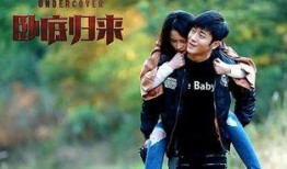 卧底归来全集在线观看