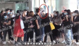 绯闻视频最新爆料大全,揭秘娱乐圈风云变幻！”