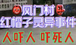 金诚茶庄爆料事件视频大全