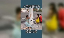 今日爆料搞笑视频大全,笑料十足，欢乐无限