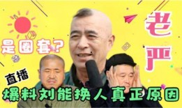 老严爆料刘能视频