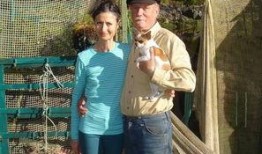 茂名夫妇爆料新闻事件,揭露惊人真相，揭开家庭悲剧背后黑幕