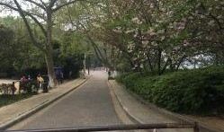 甘棠公园爆料视频,公园美景与趣事一网打尽