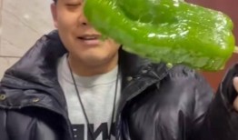 网红韩婧格吃瓜视频,揭秘娱乐圈幕后真相