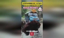 娱乐吃瓜酱熊大熊二,娱乐吃瓜酱熊大熊二的热辣趣事