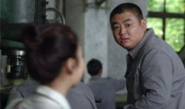 平凡的岁月在线观看,重温岁月流转中的温馨故事