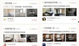 娱乐圈大爆料网站官网下载,揭秘明星幕后故事，官网独家下载