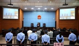 福建龙岩爆料案件最新,揭秘背后惊人真相