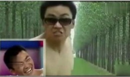 王宝强爆料视频,娱乐圈背后的惊人真相