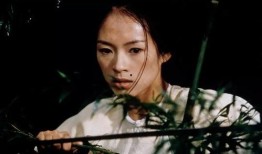 卧虎藏龙的在线观看,武侠世界的隐秘传奇