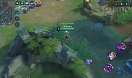 王者荣耀爆料君源哥视频,新英雄/新皮肤/新玩法大曝光！