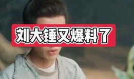 刘大锤爆料夜色视频在线观看,夜色视频在线观看，揭秘幕后真相