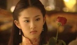 娱乐圈爆料三娘,揭秘明星背后的秘密与真相