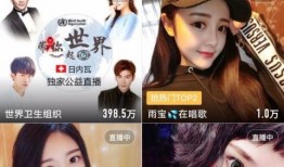 严肃小厨娘爆料视频播放,揭秘烹饪界神秘面纱