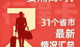 风花节最新爆料新闻内容,幕后故事与精彩瞬间大曝光