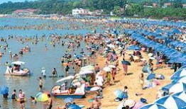 秦皇岛浴场爆料事件最新,事件最新进展及各方回应全解析