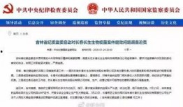 长春同泰爆料案件最新进展,疑点重重，真相渐明