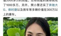 樊小慧发爆料视频了吗,樊小慧爆料视频引发热议