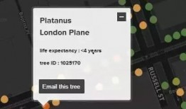 一棵树吃瓜视频大全免费观看,免费畅享欢乐时光