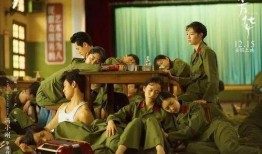 电影芳华在线观看,青春岁月里的热血与梦想