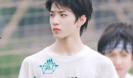 宋亚轩被刘耀文爆料视频,真相与误解的交织