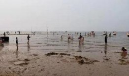 秦皇岛浴场爆料事件最新,事件最新进展及各方回应全解析