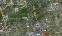 雪玲妃爆料图文大全最新,揭秘娱乐圈不为人知的秘密