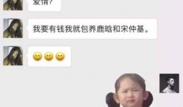 宝强女友爆料聊天记录视频,揭秘婚姻真相与情感纠葛