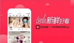 西瓜视频爆料小笙歌,小笙歌新动态，精彩内容抢先看