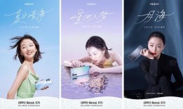 海丰月亮爆料视频最新一期,揭秘最新一期精彩内容