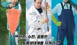 免费综艺在线观看,热门综艺在线观看指南