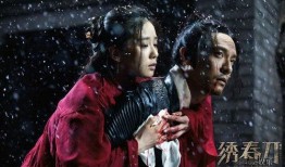 在线观看绣春刀,暗夜江湖，刀光剑影下的忠诚与背叛