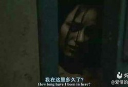 恐怖休息站在线观看,惊悚之旅，生死未卜的午夜惊魂