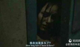 恐怖休息站在线观看,惊悚之旅，生死未卜的午夜惊魂