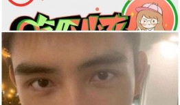 陈飞宇粉丝爆料视频大全,揭秘明星幕后生活瞬间